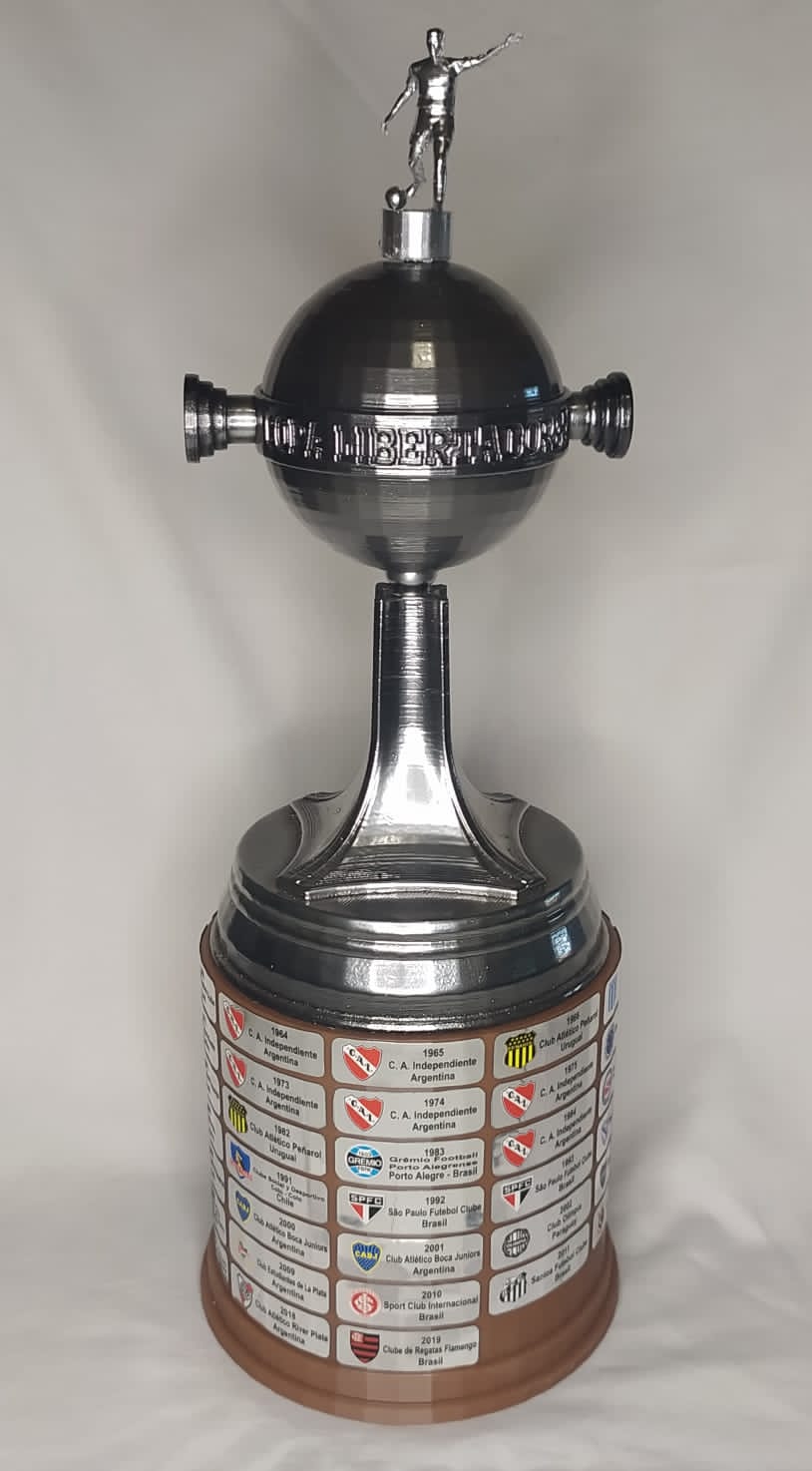 Libertadores Trophy  Taça libertadores da américa, Taça da copa, Copa  libertadores da américa